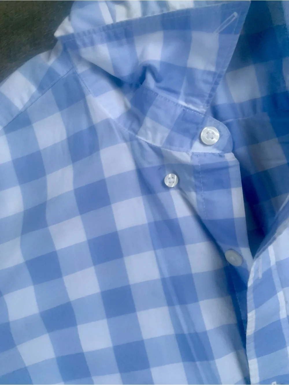 J. Crew Cottagecore Blue Gingham Short-Sleeve Button-Up Shirt